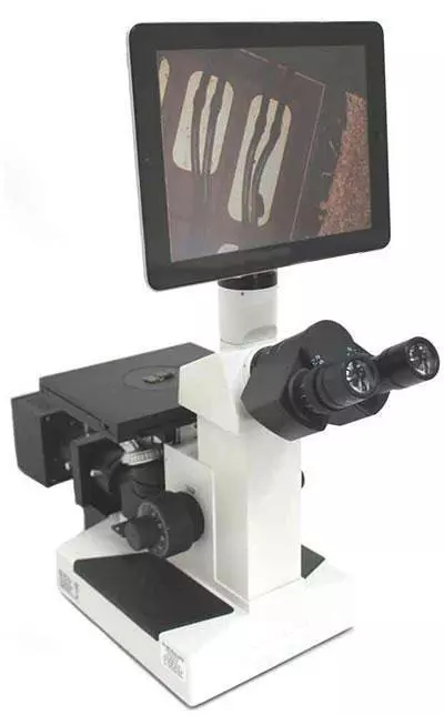 best inverted microscopes